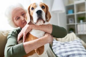 Companion Care at Home in Bethel CT